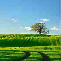 google analytics academy怎‍么‌进‍去‍